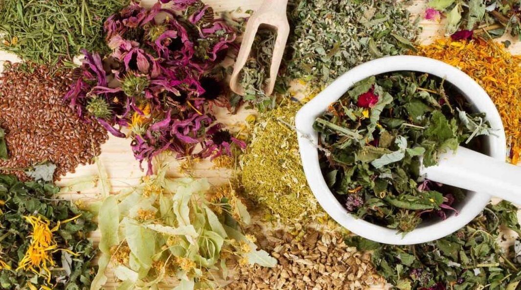 herbs to enlarge the penis
